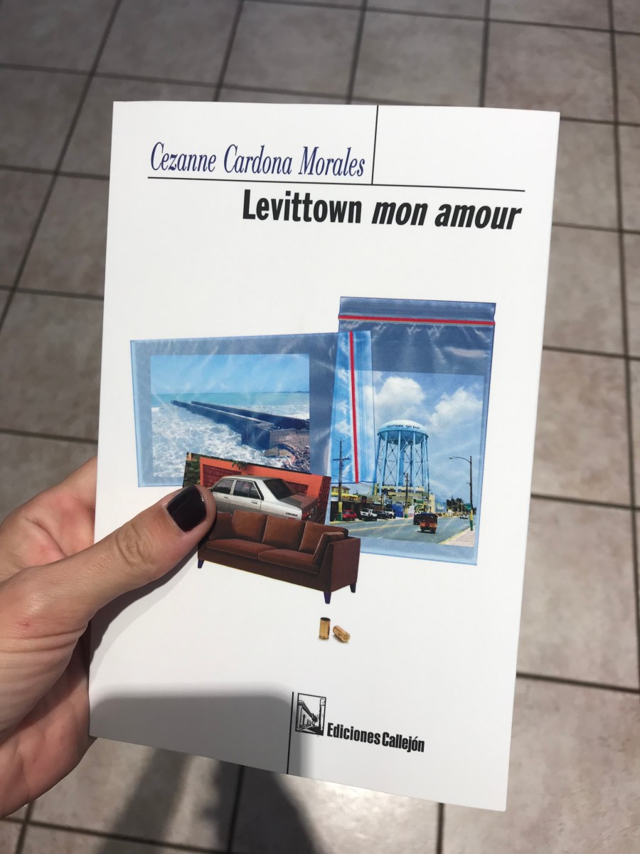 Levittown mon amour – Morphologie